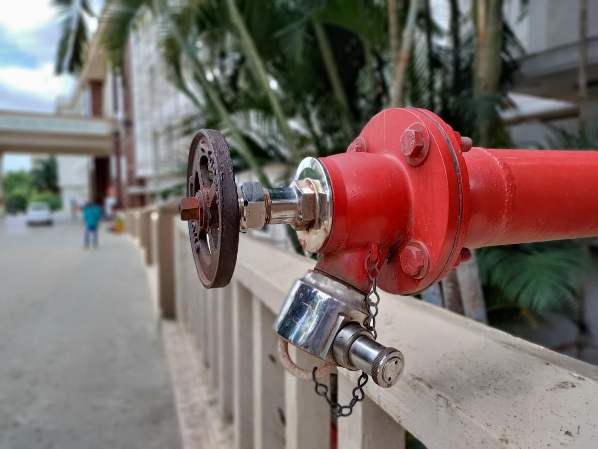 OnePlus Nord CE 5G camera sample: