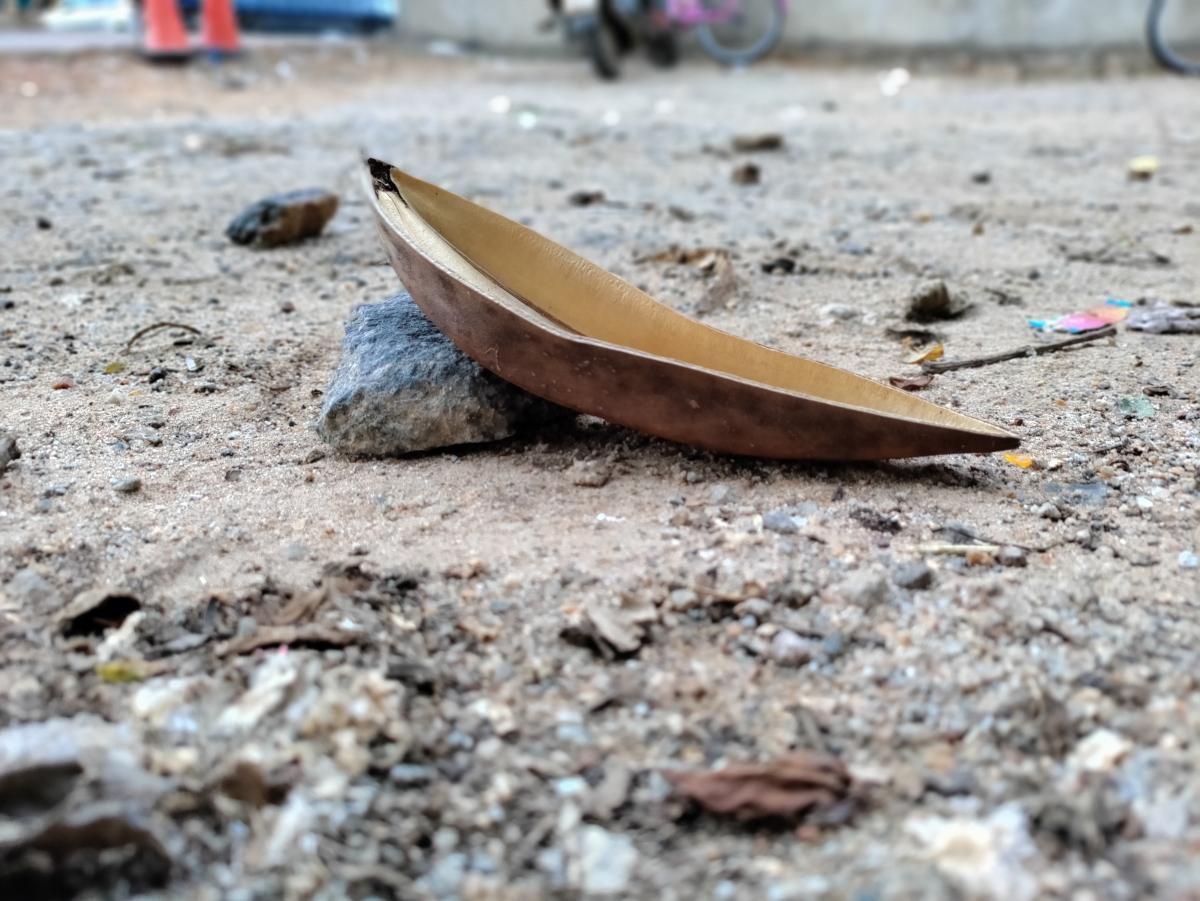 OnePlus Nord CE 5G camera sample: