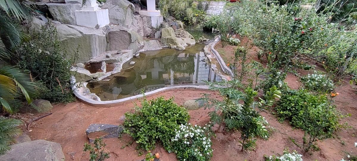 OnePlus Nord CE 5G camera sample: