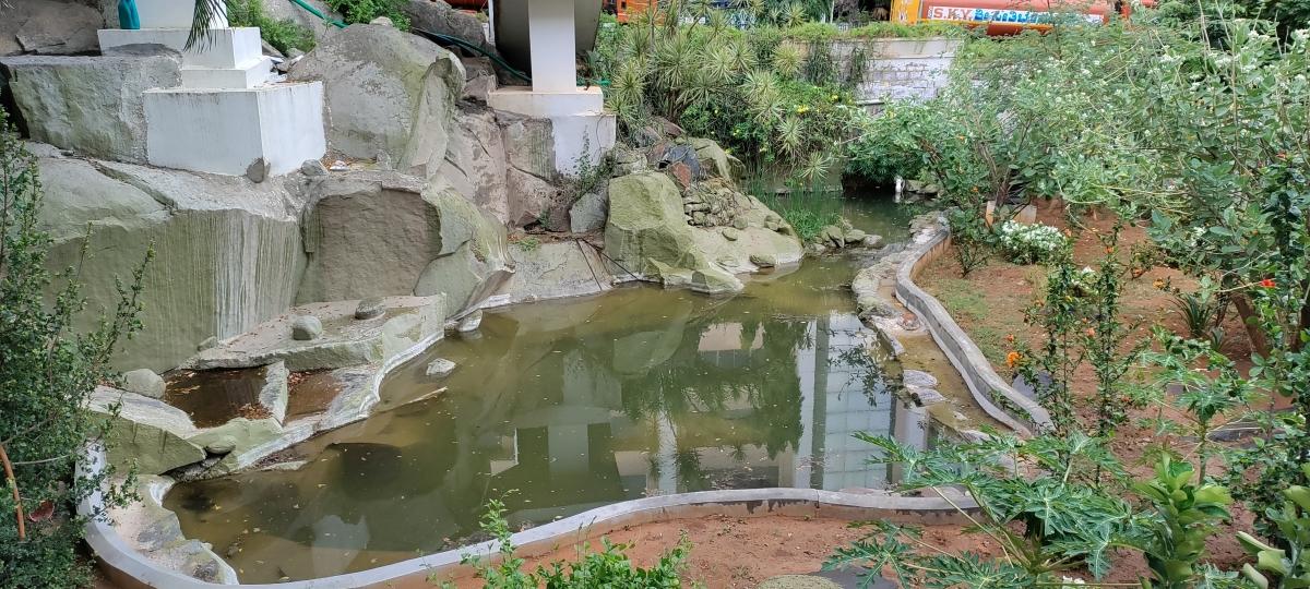 OnePlus Nord CE 5G camera sample: