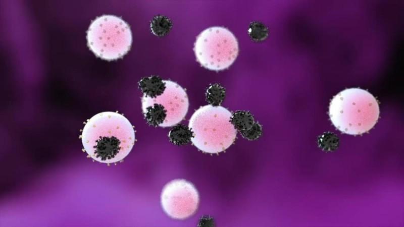 Nanodecoys bind with SARS-CoV-2 virus SARS-CoV-2 Coronavirus