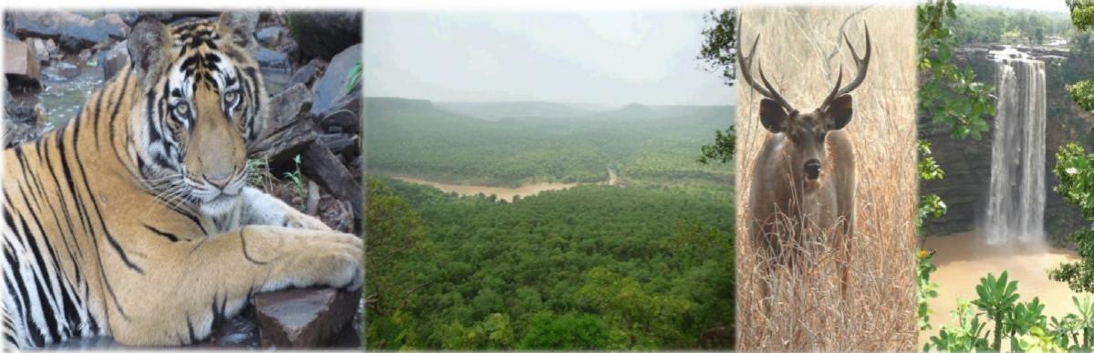 Impact on wildlife corridor between Panna Tiger Reserve and Nauradehi sanctuary cited by The Wire Science The project might also impact the wildlife corridor between Panna Tiger Reserve and Naudehli sanctury
