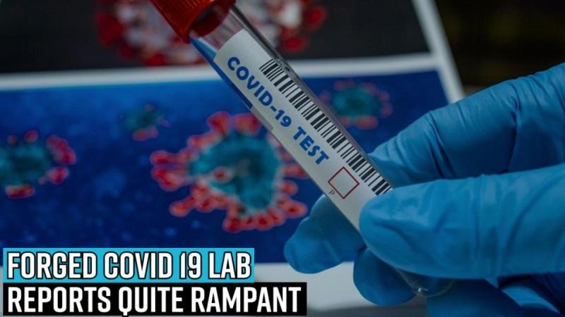 Mandatory RT-PCR test doesn't mean your weekend escape will be safe; Forged lab reports quite rampant