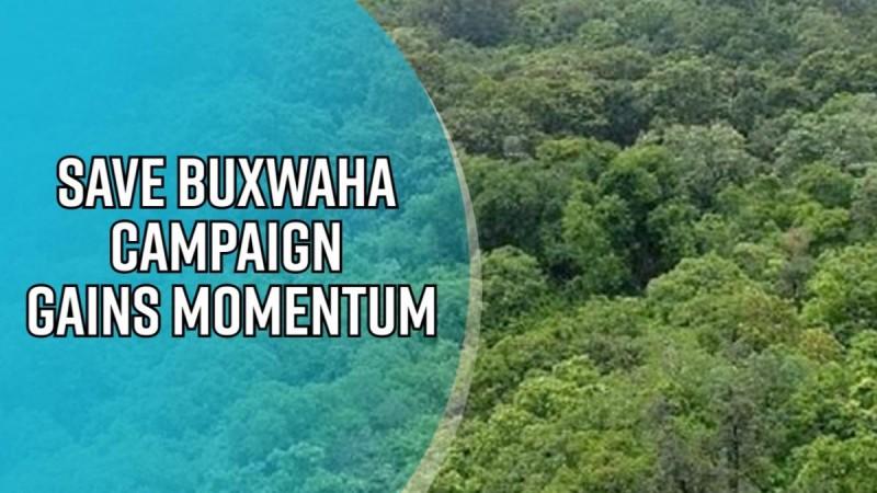 Save Buxwaha campaign gains momentum