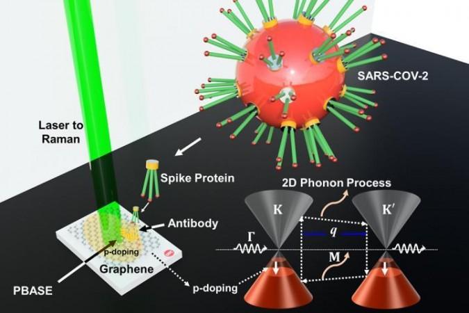 An illustration of the graphene-based COVID-19 spike protein detection process developed at UIC. The white rectangle represents the substrate with graphene functionalized with SARS-CoV-2 antibody (shown in yellow). When this graphene detector interacts with the virus' spike protein in a COVID-positive sample, its atomic vibration frequency changes. SARS-CoV-2 Coronavirus