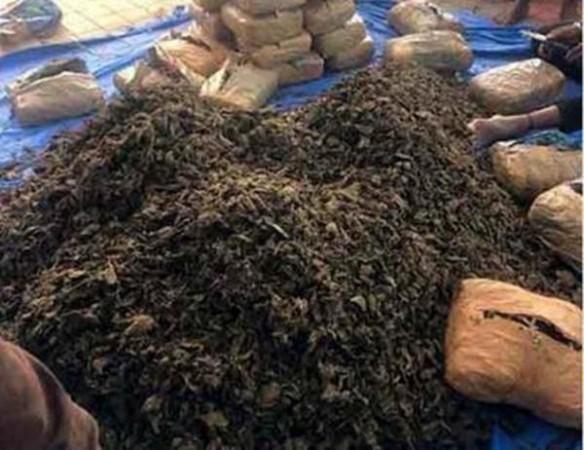 Drugs worth Rs 50crore destroyed