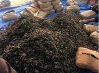Drugs worth Rs 50crore destroyed