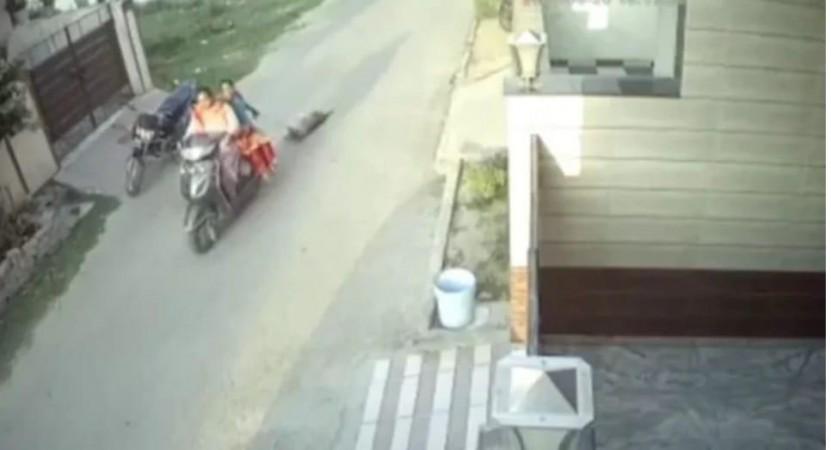 A video grab from the cctv footage viral on social media A video grab from the cctv footage viral on social media