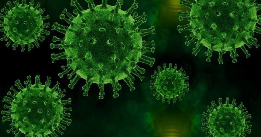 SARS-CoV-2 Coronavirus (Representational Picture) SARS-CoV-2 Coronavirus