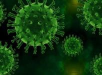 SARS-CoV-2 Coronavirus