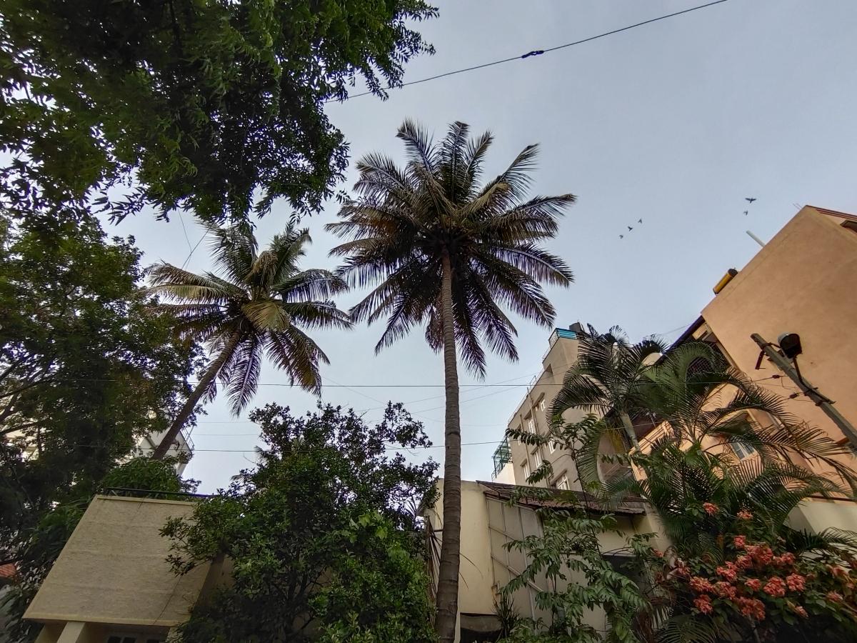 iQoo Z3 camera sample - Ultrawide iQoo Z3 camera sample