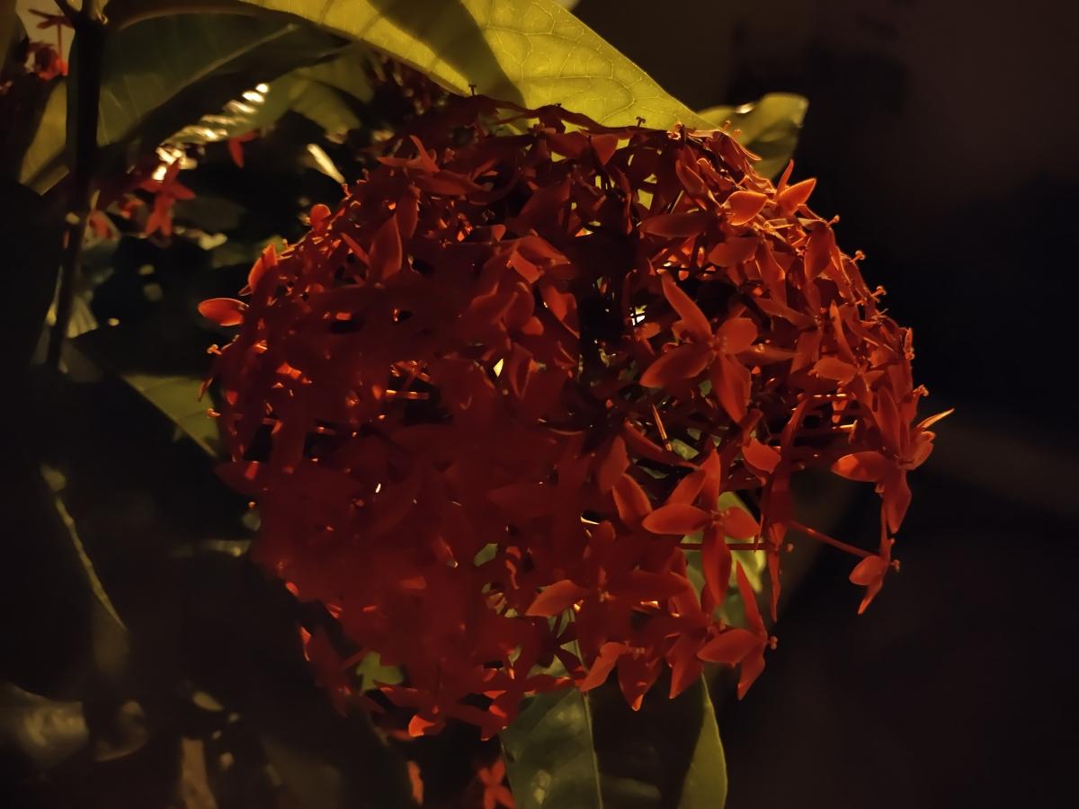 iQoo Z3 camera sample - Low light iQoo Z3 camera sample