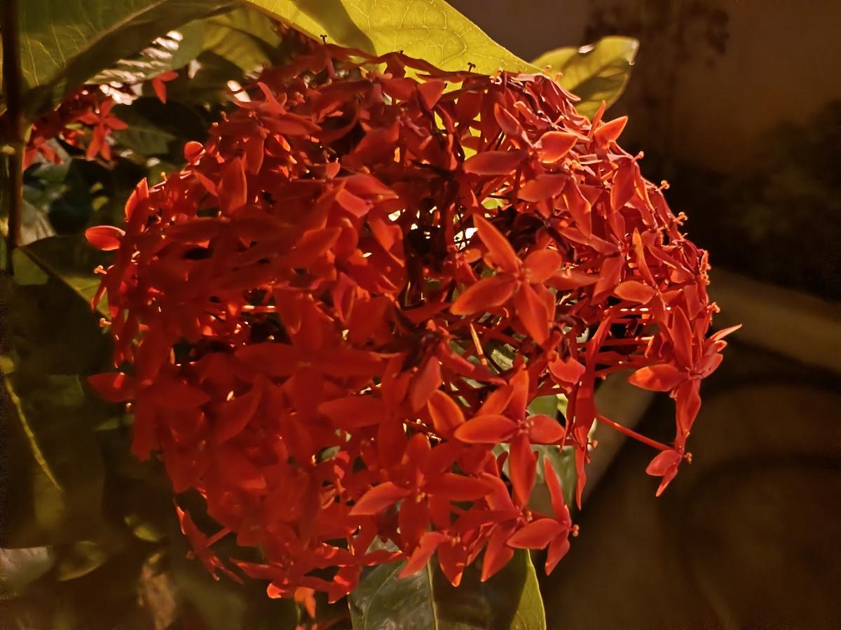 iQoo Z3 camera sample - Night mode iQoo Z3 camera sample