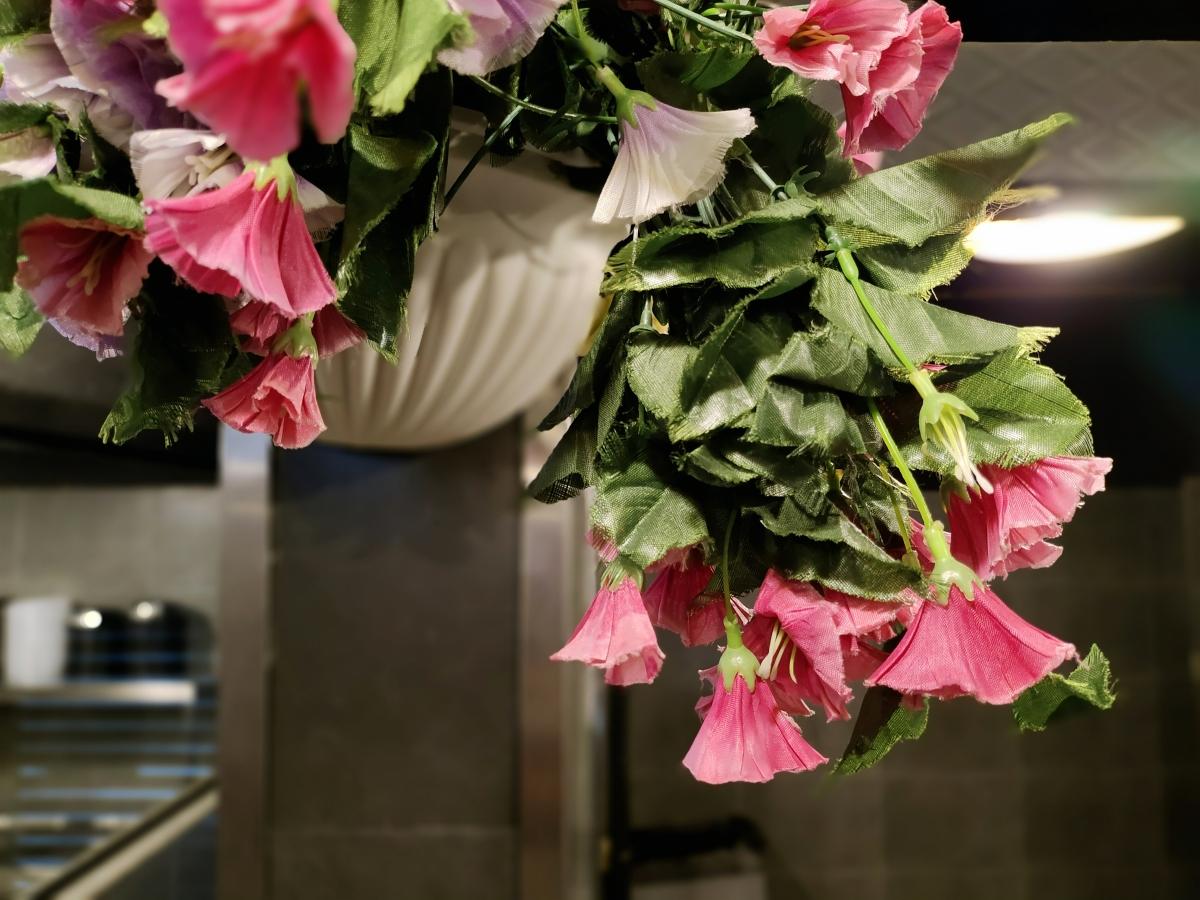 iQoo Z3 camera sample - Portrait / Bokeh iQoo Z3 camera sample