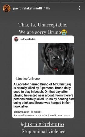 Actress Pavithra Lakshmi's story on Instagram Bruno Death