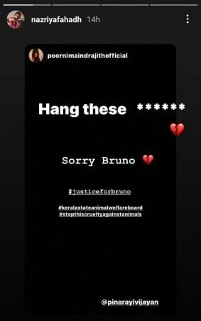 A screen grab of actress Nazriya Nazim's story on Instagram Bruno Death
