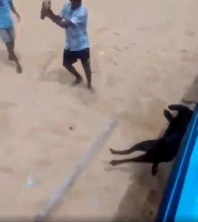 One of the youths attacking Bruno with a stick Bruno Death