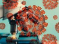 SARS-CoV-2 Coronavirus