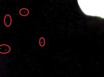 UFO ISS