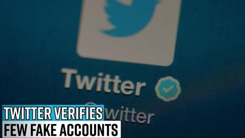 Twitter verifies few fake accounts; random cat profile gets blue badge