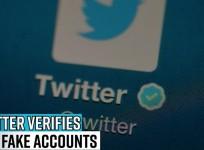 Twitter verifies few fake accounts; random cat profile gets blue badge
