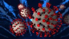 SARS-CoV-2 Coronavirus