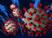 SARS-CoV-2 Coronavirus