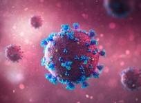 SARS-CoV-2 Coronavirus