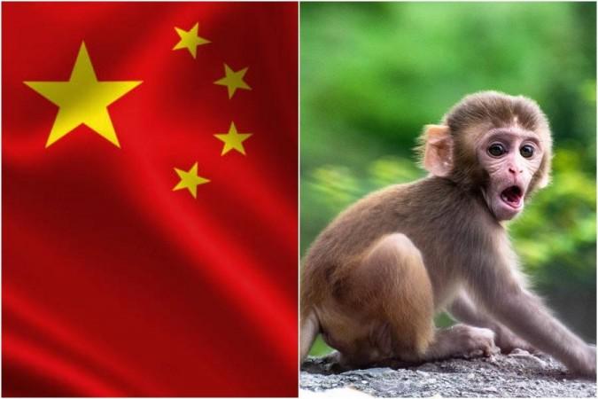Representational Image new virus in China