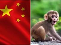 new virus in China
