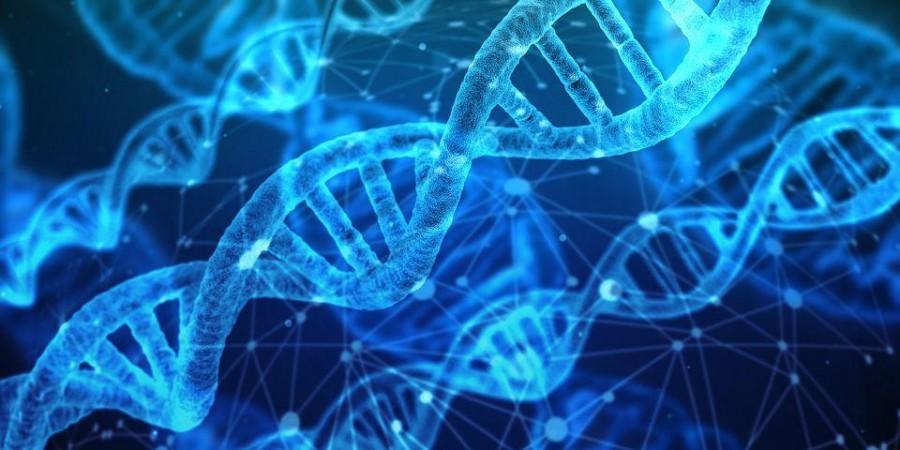 Representational Image DNA