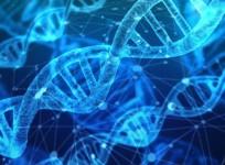 DNA