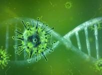 SARS-CoV-2 Coronavirus