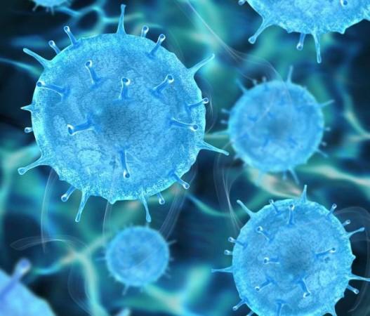 Virus (Representational Picture) Viruses