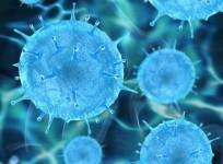 Viruses