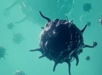 Virus