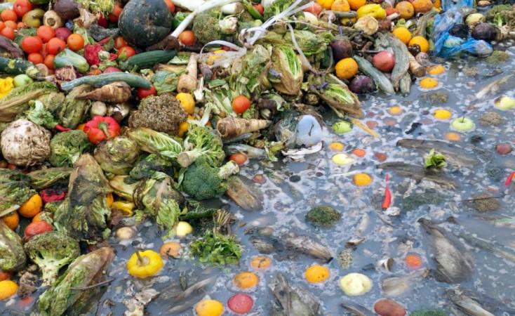 food-waste-we-need-to-act-now-ibtimes-india