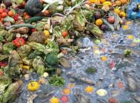 food waste