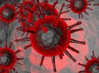 SARS-CoV-2 Coronavirus