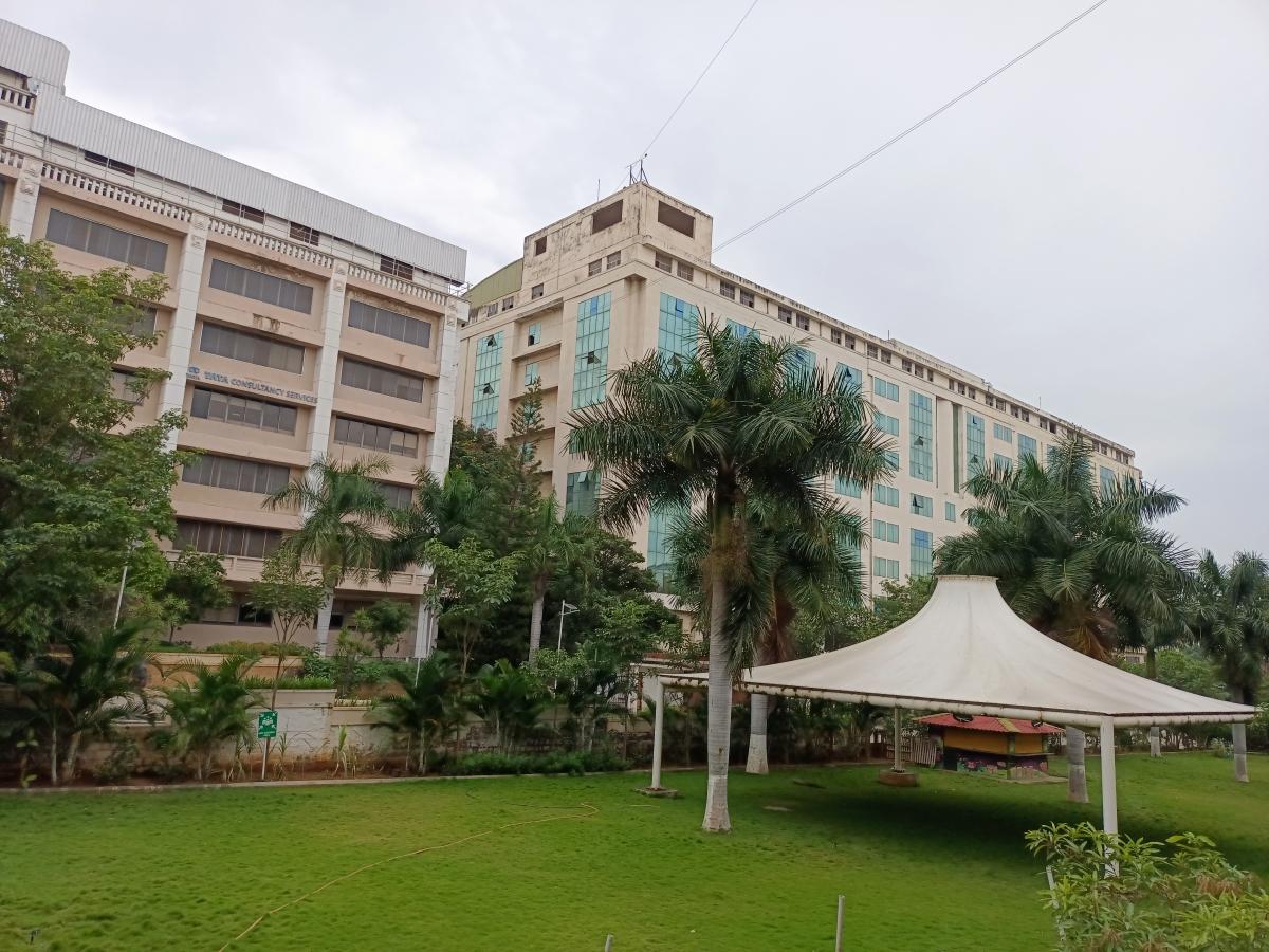 Vivo V21 camera sample Vivo V21 camera sample