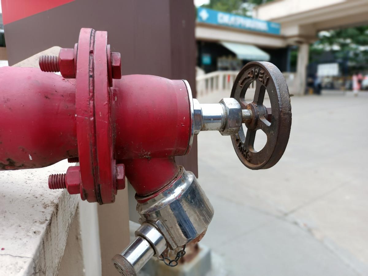 Vivo V21 camera sample - portrait Vivo V21 camera sample