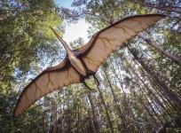 Pterosaur