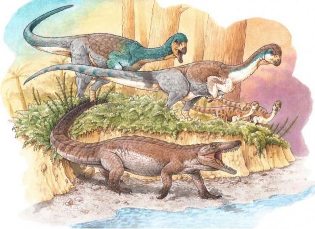 An illustration of Burkesuchus mallingrandensis Crocodile Fossil