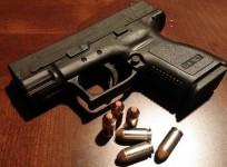 Gun