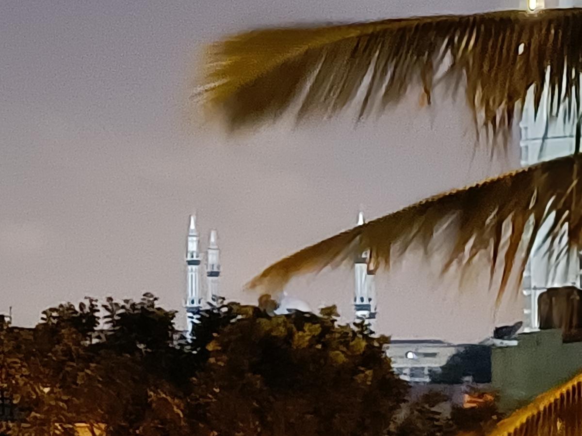 OnePlus Nord 2 camera sample