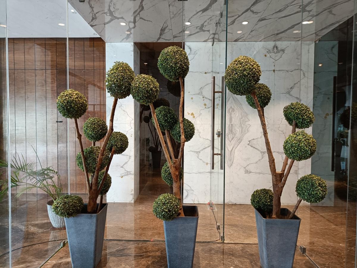 OnePlus Nord 2 camera sample