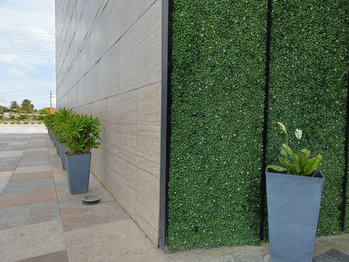 OnePlus Nord 2 camera sample