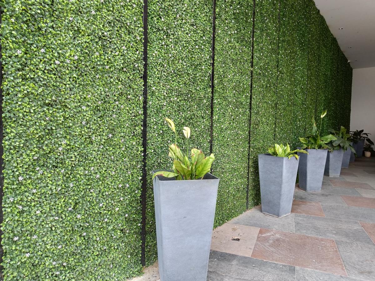 OnePlus Nord 2 camera sample