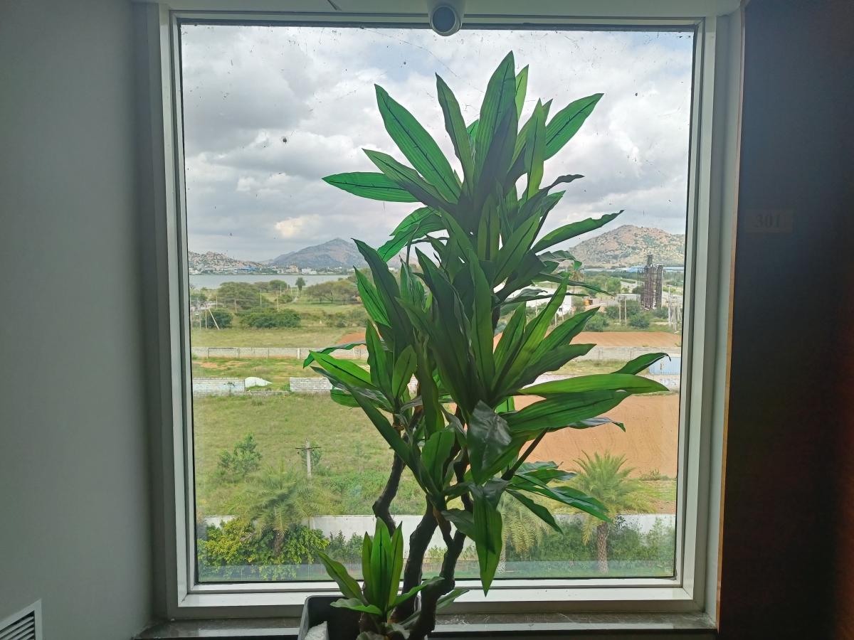 OnePlus Nord 2 camera sample