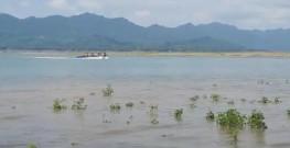 A video grab of Ranjit Sagar Dam where rescue operation is being held